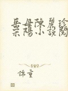 岳母陈丽珍女婿宋阳小说阅读