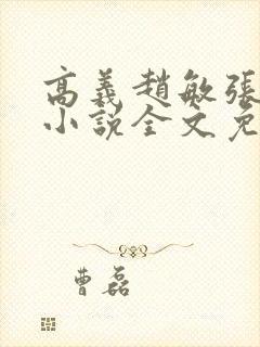 高义赵敏张倩的小说全文免费