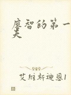 廖智的第一任丈夫