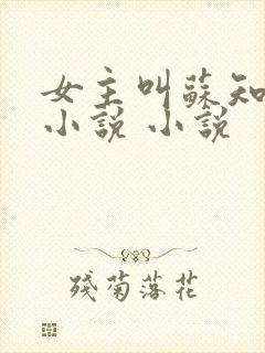 女主叫苏知意的小说 小说