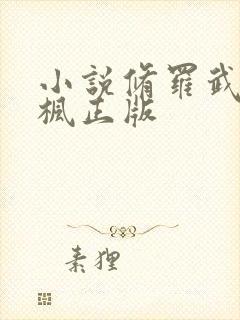 小说修罗武神楚枫正版封面