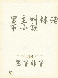 男主叫林浩的都市小说