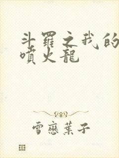 斗罗之我的武魂喷火龙