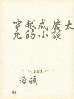 穿越成废太子萧允的小说