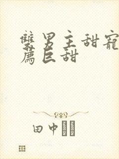 双男主甜宠文推荐巨甜封面