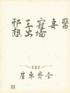 邪王宠妻医妃休想出墙