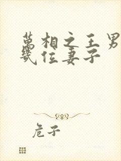 万相之王男主有几位妻子封面