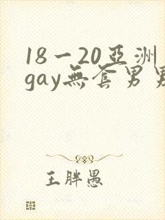 18一20亚洲gay无套男男