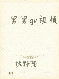 男男gv视频网