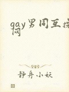 gay男同互操网