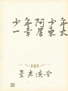 少年阿少年宾第一章房东太太