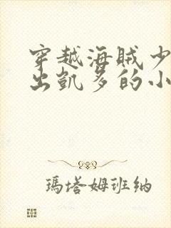 穿越海贼少将放出凯多的小说封面