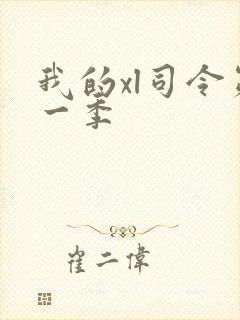 我的xl司令第一季