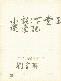 小说:下堂王妃逆袭记