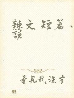 辣文 短篇 小说
