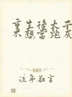 重生后太子妃她不想当炮灰小说封面