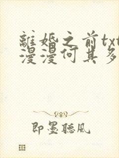 离婚之前txt漫漫何其多