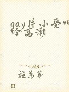 gay片小受呻吟高潮