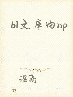 bl文库肉np封面