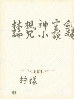 林枫神霄剑宗大师兄小说超前更新