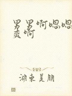 男男啊嗯嗯嗯好爽啊封面