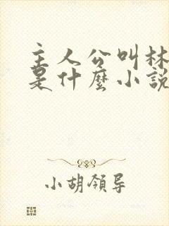 主人公叫林峰的是什么小说封面