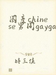 国产chinese男同gaygay网站封面
