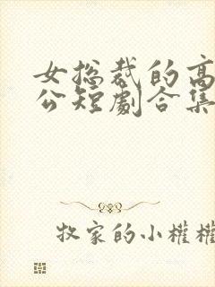 女总裁的高手老公短剧合集封面