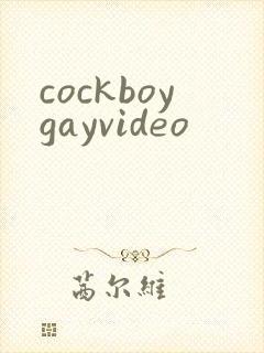 cockboygayvideo封面