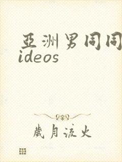 亚洲男同同性videos