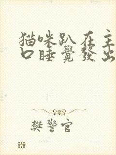 猫咪趴在主人胸口睡觉发出咕噜咕噜的声音