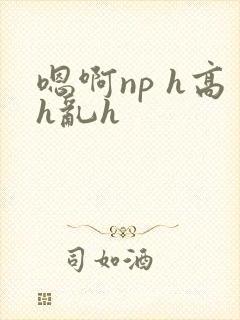 嗯啊np h高h乱h