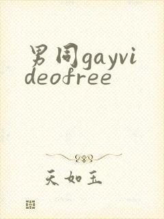 男同gayvideofree