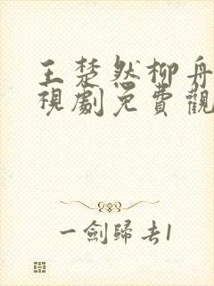 王楚然柳舟记电视剧免费观看全集高清封面