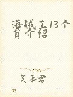 海贼王13个成员介绍