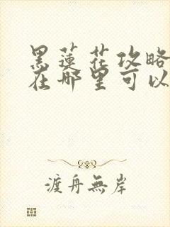 黑莲花攻略手册在哪里可以免费阅读