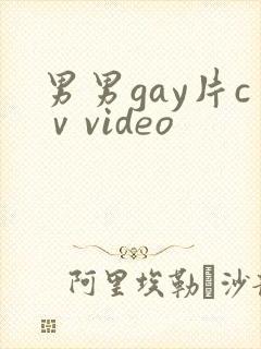 男男gay片cⅴvideo