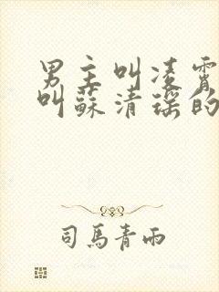 男主叫凌霄女主叫苏清瑶的小说名字