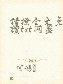 错撩全文免费阅读txt网盘封面