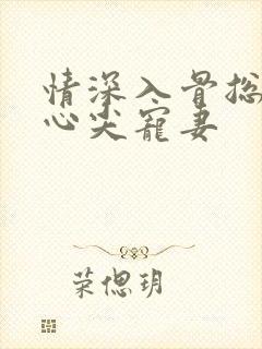 情深入骨总裁的心尖宠妻封面