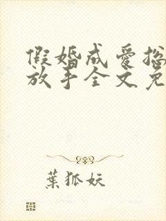 假婚成爱总裁别放手全文免费阅读