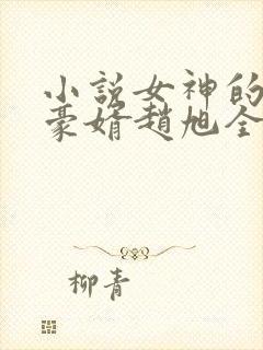 小说女神的上门豪婿赵旭全文阅读