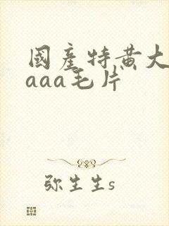 国产特黄大片aaaa毛片