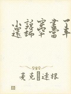 小说穿书了,谁还稀罕当平妻免费