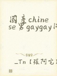国产chinese男gaygay网站