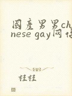 国产男男chinese gay网站