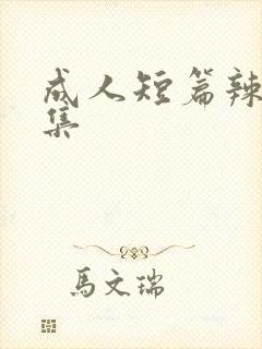 成人短篇辣文合集封面