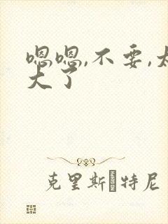 嗯嗯,不要,太大了封面