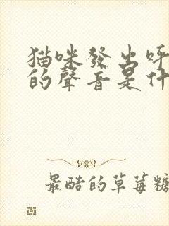 猫咪发出呼噜噜的声音是什么情况