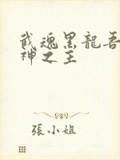 武魂黑龙吾乃众神之主